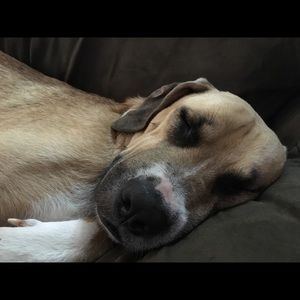 Meet your Posher, Beth